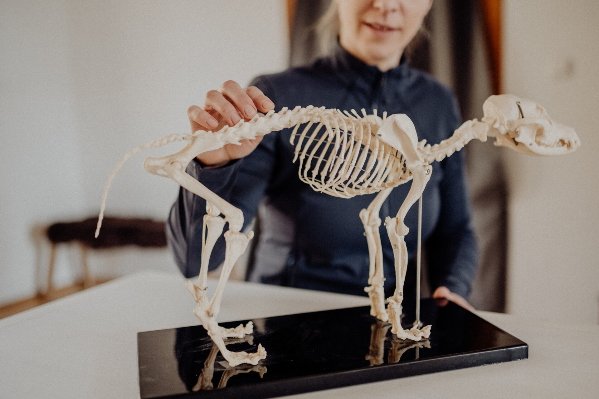 Praxisworkshop Gerätetherapie