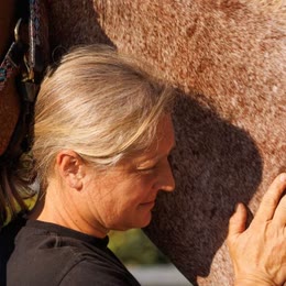 Dagmar Dietl arbeitet mit der Hand an der Schulter eines Quarter Horse