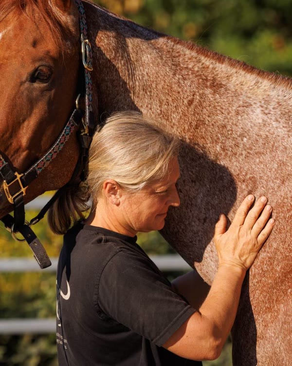 Dagmar Dietl arbeitet mit der Hand an der Schulter eines Quarter Horse