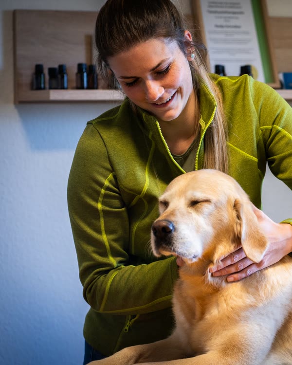 Nadja Schreiber behandelt einen Labrador auf dem Therapietisch ihrer Praxis